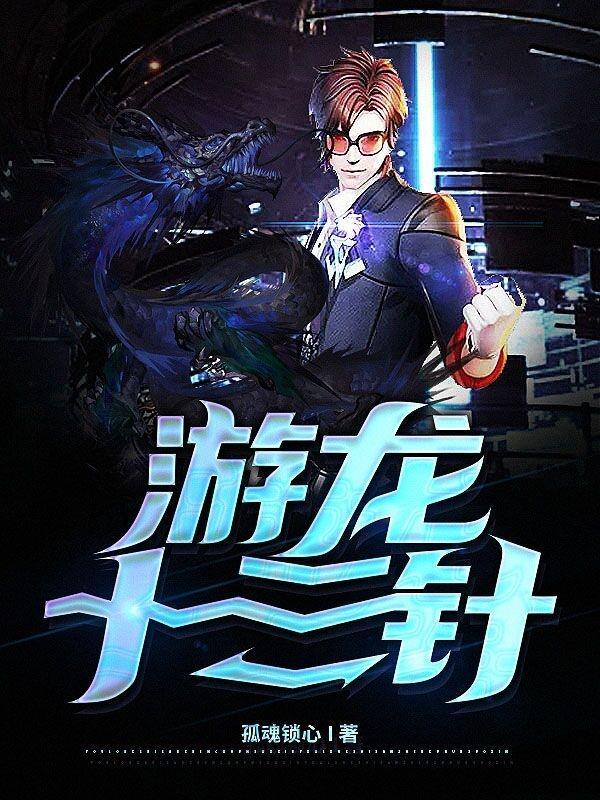 游龙十三针 游龙十三针