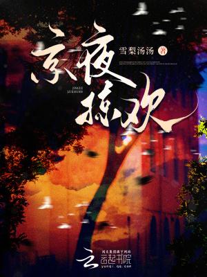 京夜掠欢 京夜掠欢