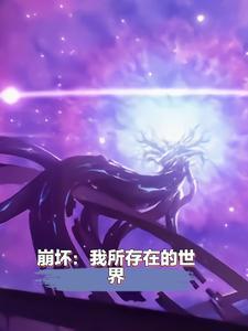 崩坏:我所存在的世界 崩坏:我所存在的世界