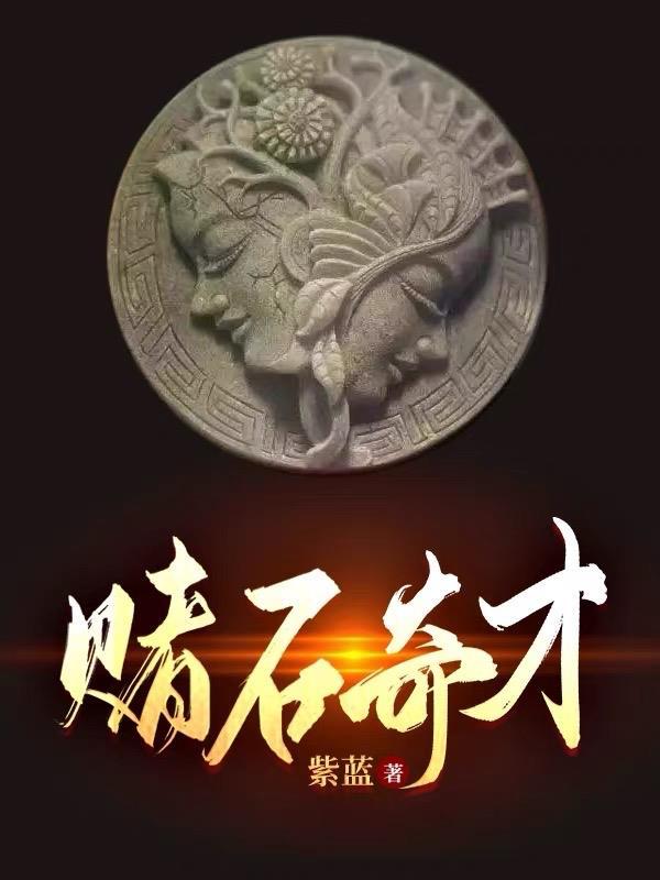 赌石奇才 赌石奇才