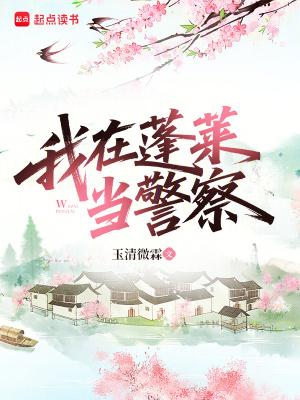 我在蓬莱当警察 我在蓬莱当警察