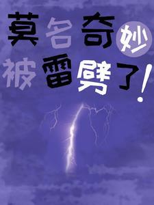 被雷劈到了异世界 被雷劈到了异世界