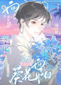 葵花向阳 葵花向阳